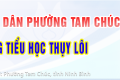 SÔI NỔI NGÀY HỘI VÕ NHẠC VOVINAM TẠI TRƯỜNG TIỂU HỌC THỤY LÔI